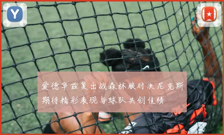 爱德华兹复出战森林狼对决尼克斯期待精彩表现与球队共创佳绩