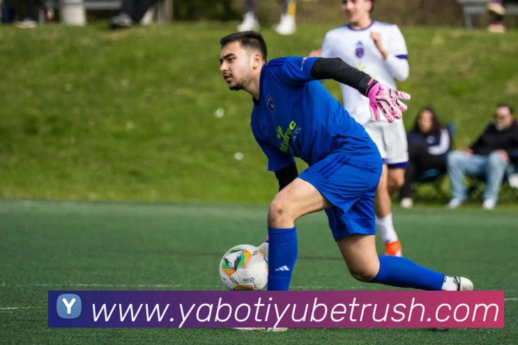 亚博体育APP 封面图